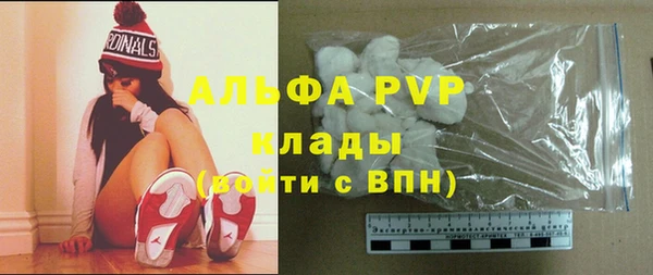 прущие грибы Володарск