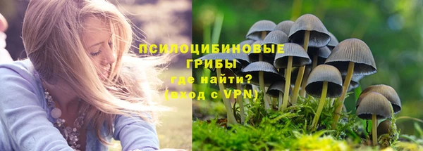 соль ск Верхнеуральск